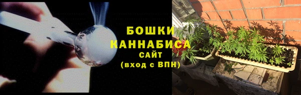 крисы Новокубанск