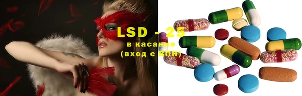крисы Новокубанск