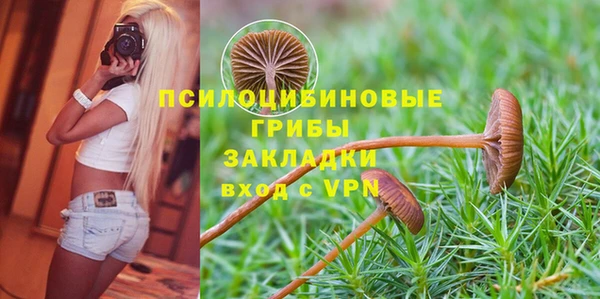 бутират Новозыбков