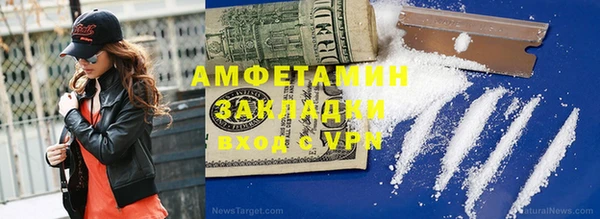 соль ск Новодвинск