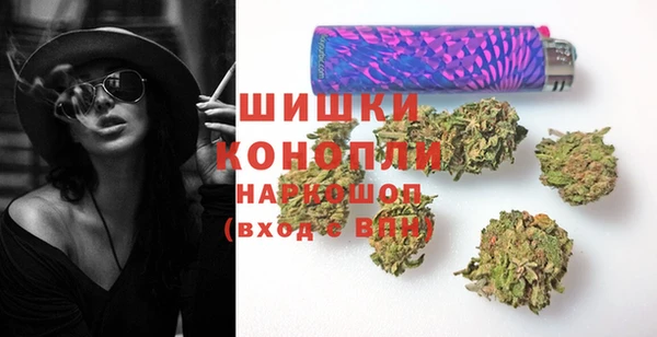 соль ск Новодвинск