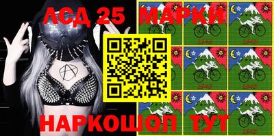 стаф Абакан