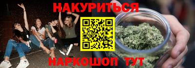 сатива Гай