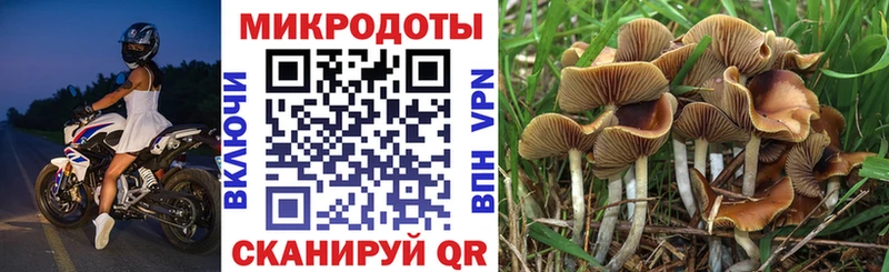 Галлюциногенные грибы мухоморы  Заинск 