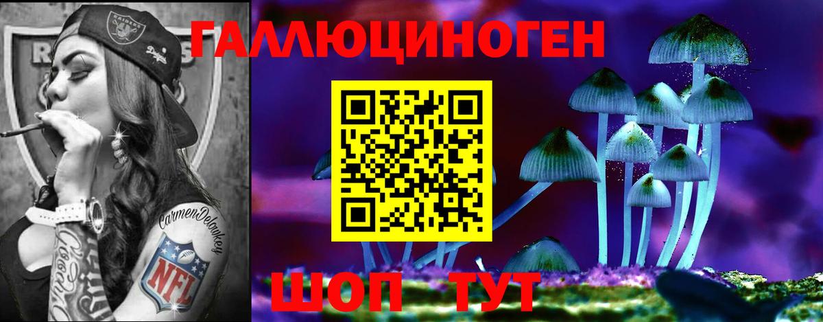 Заинск  купить наркотики цена  Вход с VPN  Галлюциногенные грибы Cubensis 