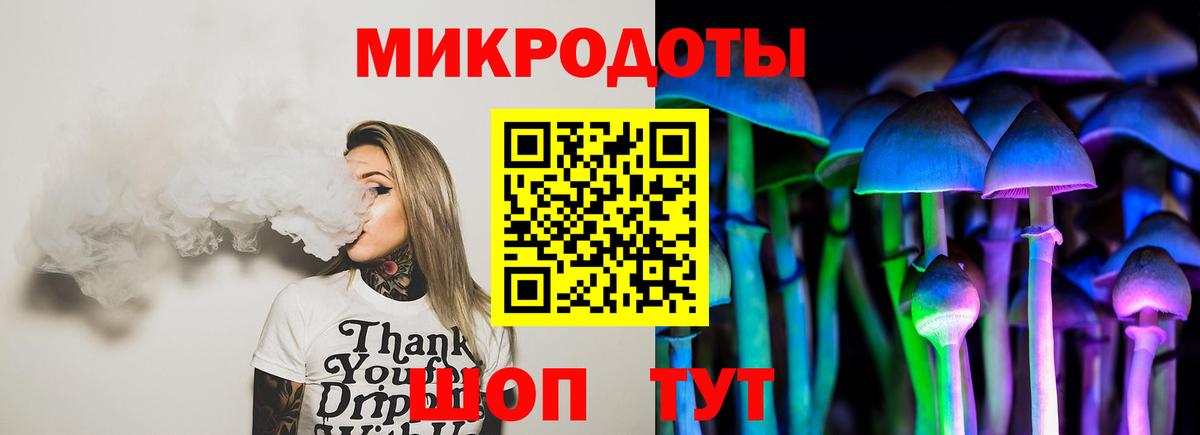 закладка  Заинск  Псилоцибиновые грибы Psilocybine cubensis 