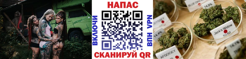Марихуана марихуана  Заинск 